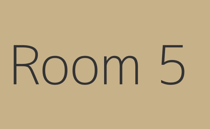 Room 5